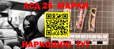 сатива Гатчина