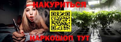 сатива Гатчина
