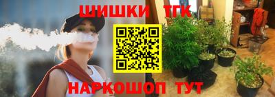сатива Гатчина