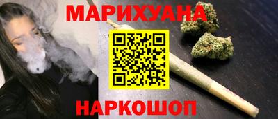 сатива Гатчина