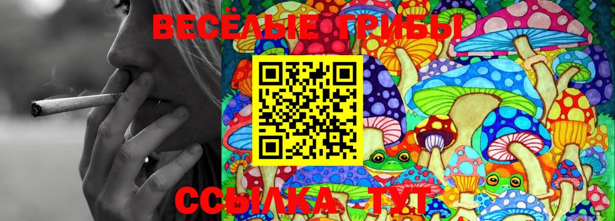Псилоцибиновые грибы GOLDEN TEACHER Хасавюрт