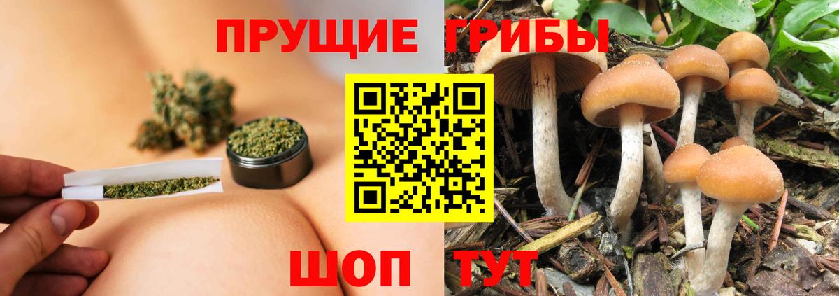 Галлюциногенные грибы прущие грибы  Псилоцибиновые грибы Cubensis  Хасавюрт  Вход с VPN 